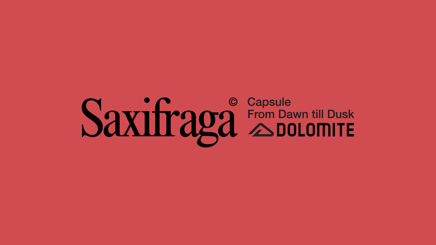 Saxifraga