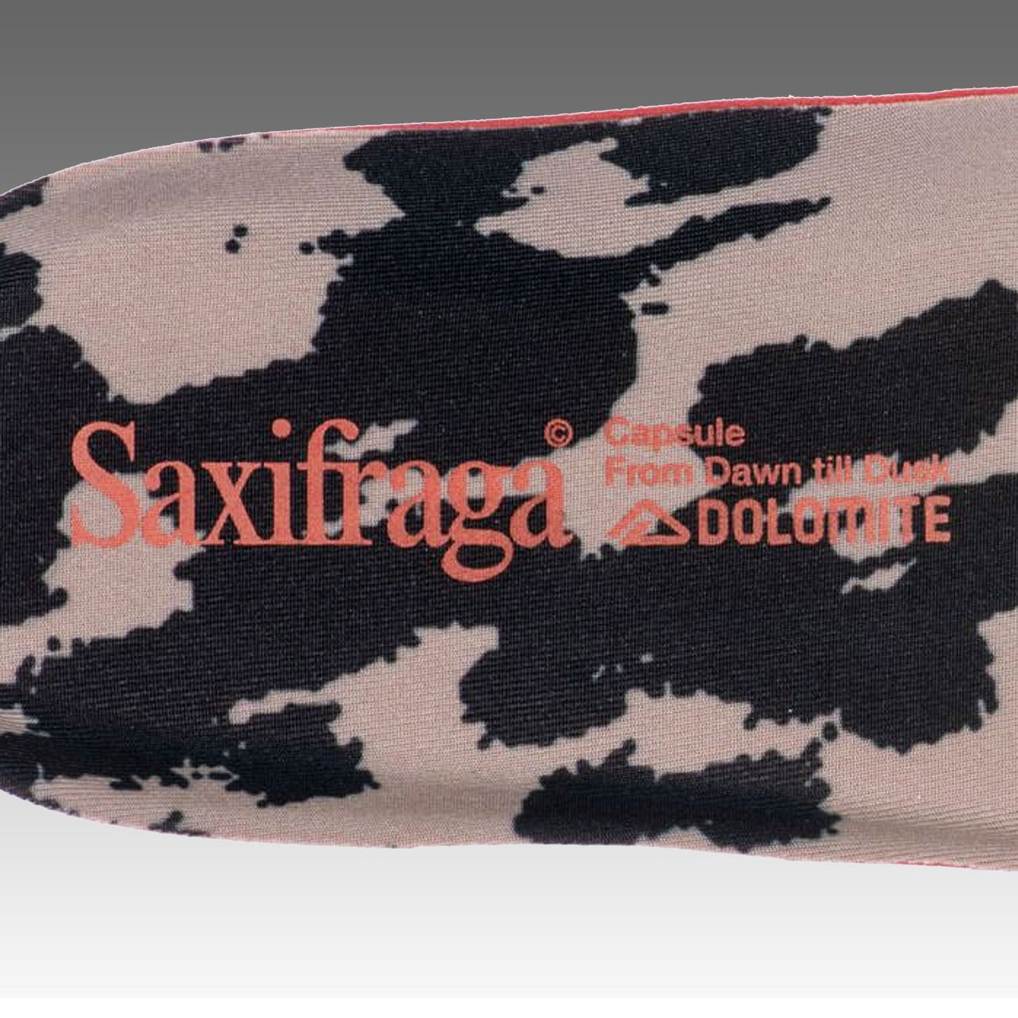 Nibelia Saxifraga GTX