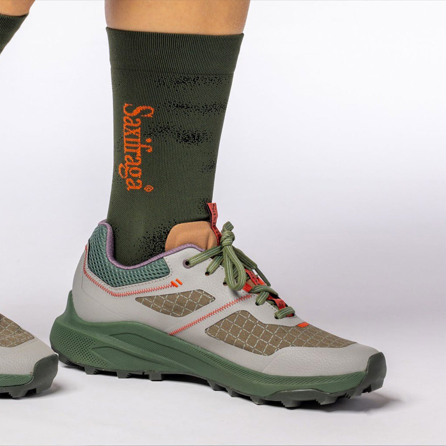 Saxifraga Socks