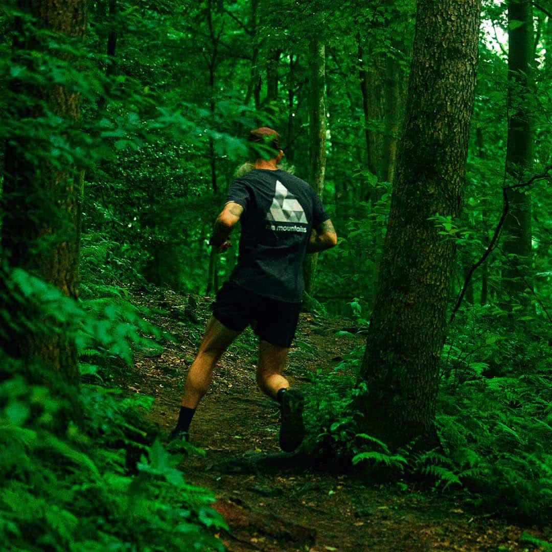 NSBTShirt – Buck Mountain – Dusk